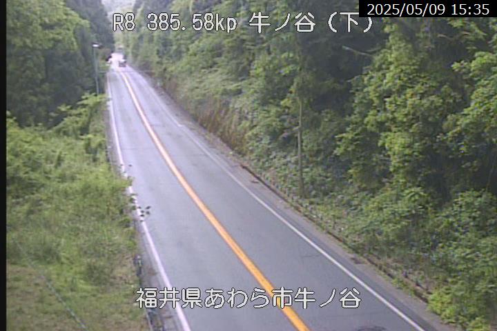 国道８号 あわら市 牛ノ谷峠付近