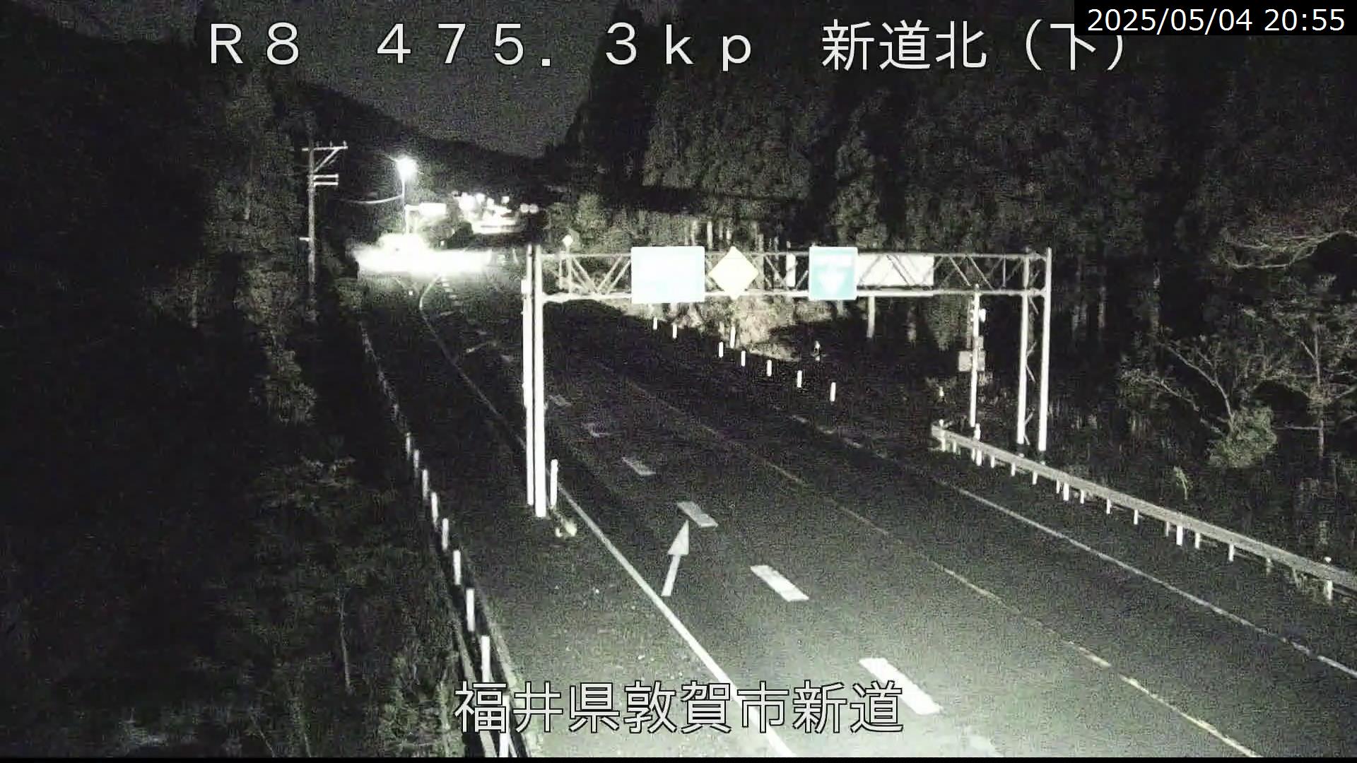 国道８号 敦賀市 新道付近