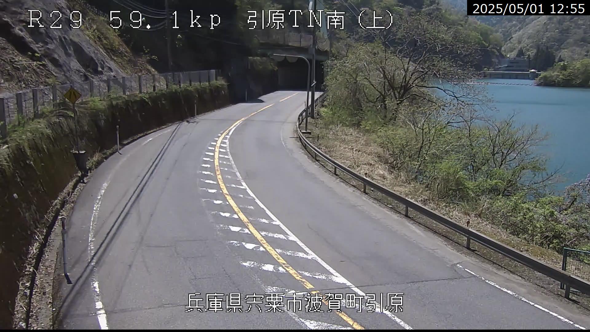 引原南