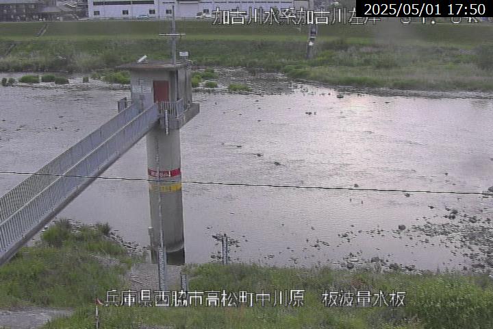 板波の現在の河川状況