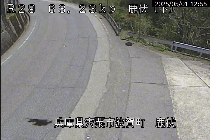 鹿伏